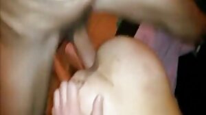 Stepfamilysex