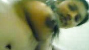 විකෘති