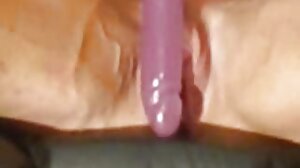 රෝස පැන්ටි