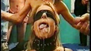කුඩා tits යොවුන්