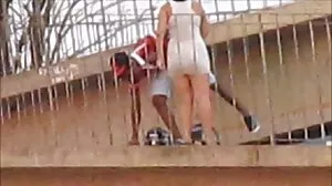 වැලන්ටිනා නැපිට බුක්කේක් කම් සමඟ WAM ලැබේ