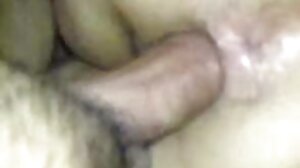 හියුගෙට්ස්