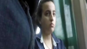 ෆෙස්ටිවල්