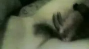 විට්නි වෙස්ට්ගේට් මිහිරි රෝස