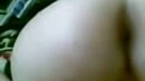 චෙක්